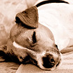 © 2012 manuela bickel & ralf bickel