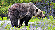 © 2011 manuela bickel & ralf bickel