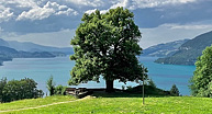 © 2023 manuela bickel & ralf bickel